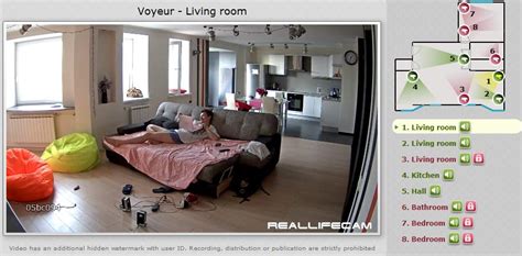 web cam voyeur